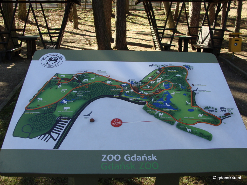 źródło: gdansk4u.pl