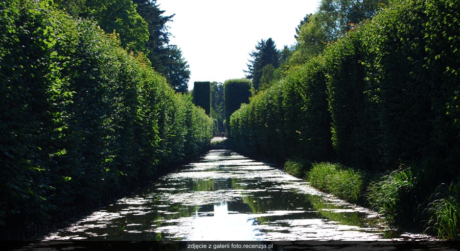 źródło: foto.recenzja.pl