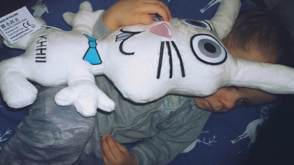 WP_20141125_14_55_50_Pro