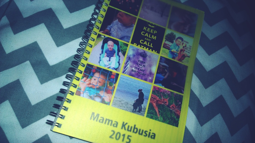 WP_20141125_15_04_46_Pro