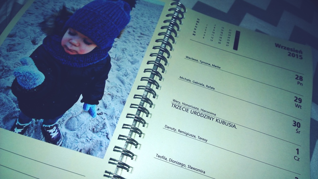 WP_20141125_15_06_23_Pro