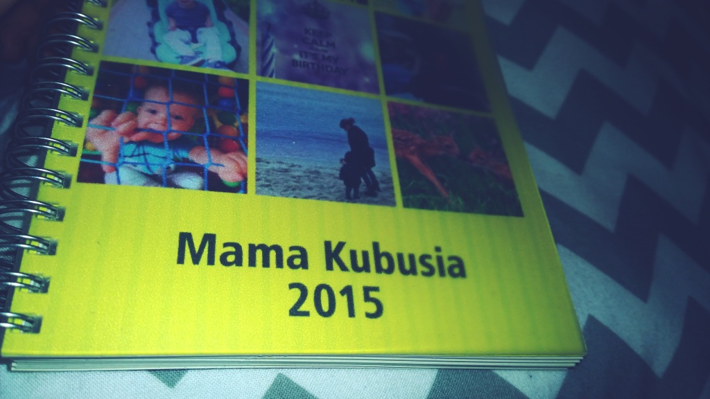 WP_20141125_15_09_23_Pro