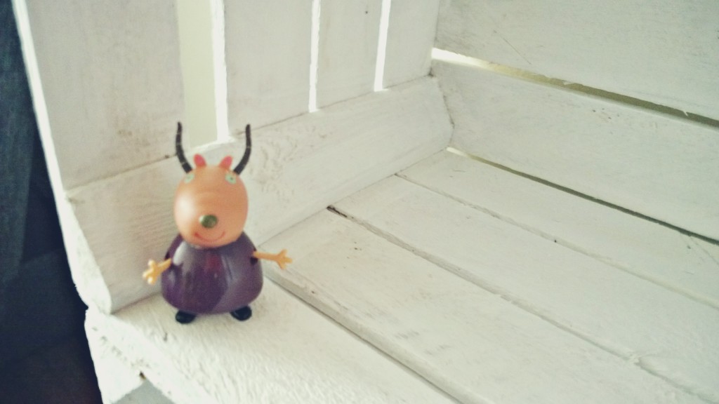 WP_20150130_13_49_37_Pro