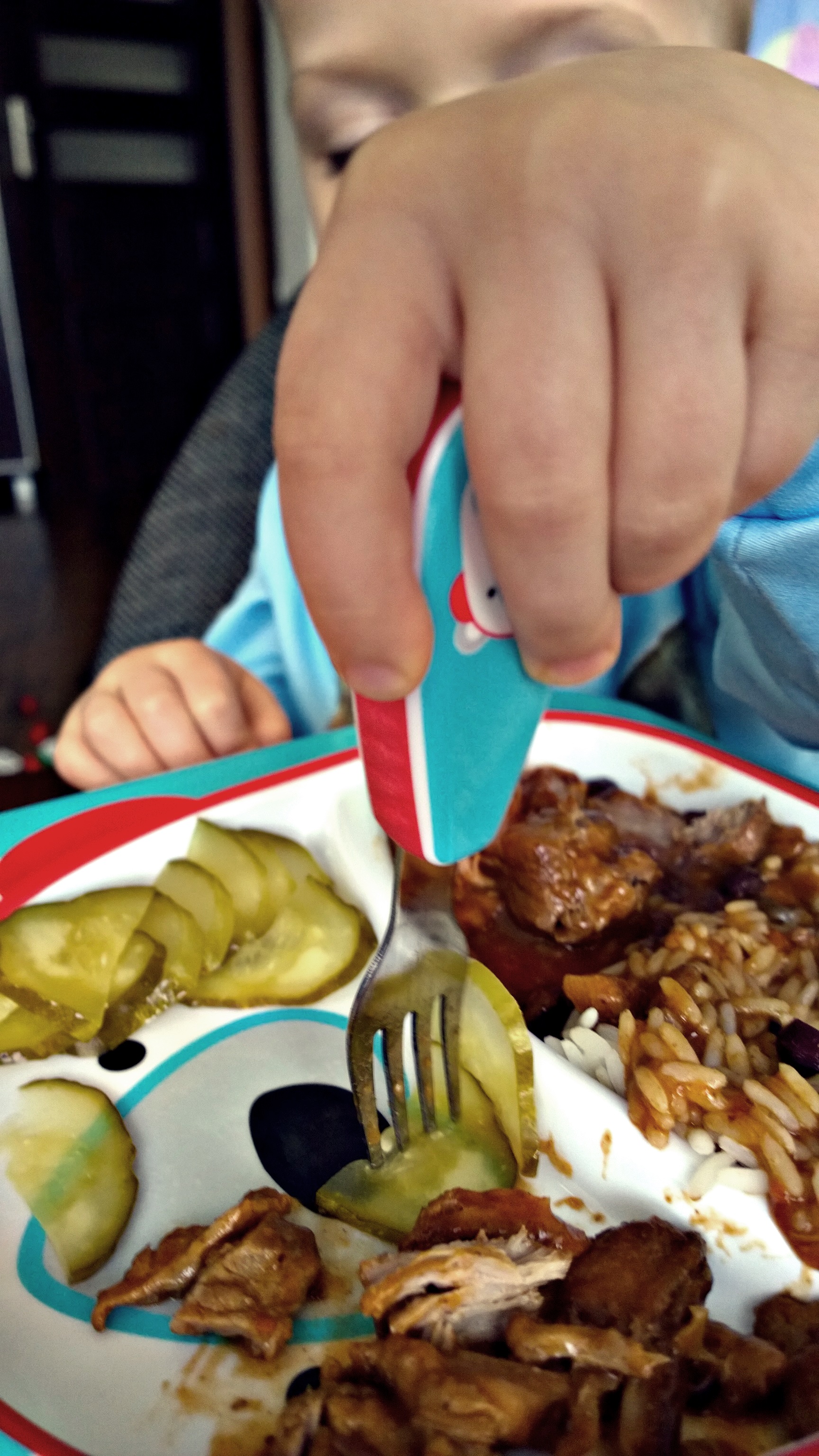 WP_20150226_15_02_45_Pro