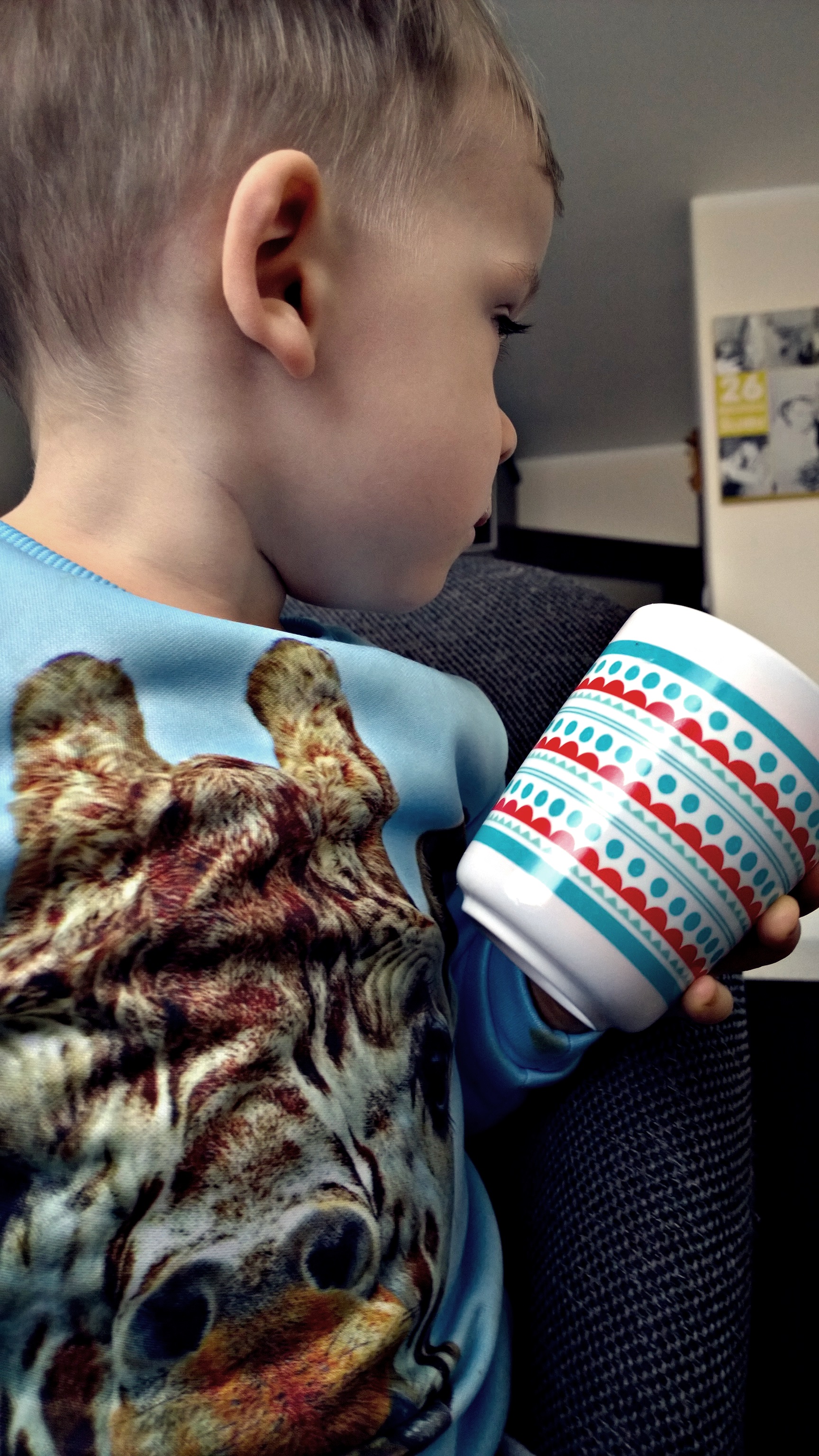 WP_20150226_15_14_05_Pro