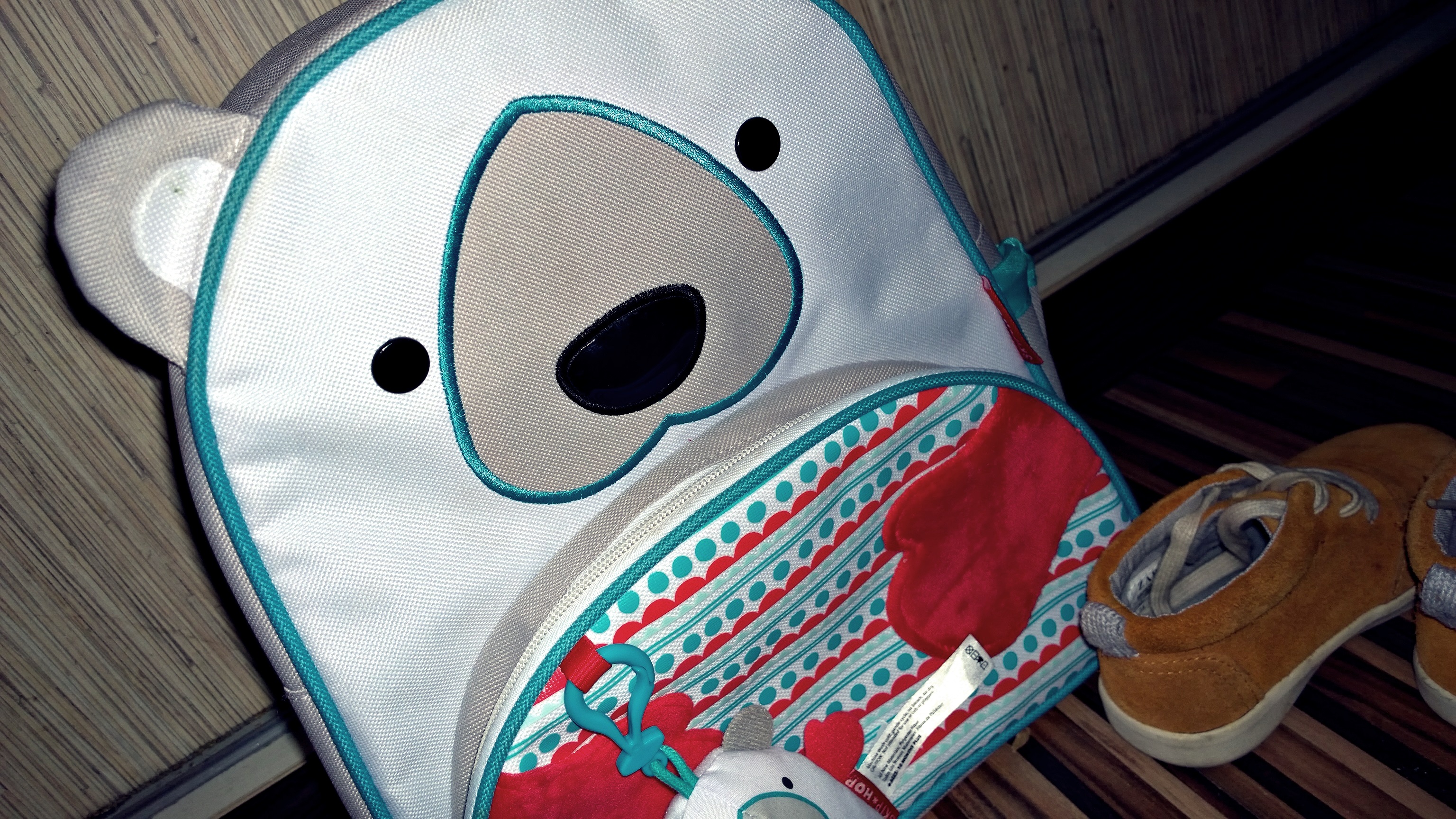 WP_20150306_13_28_24_Pro