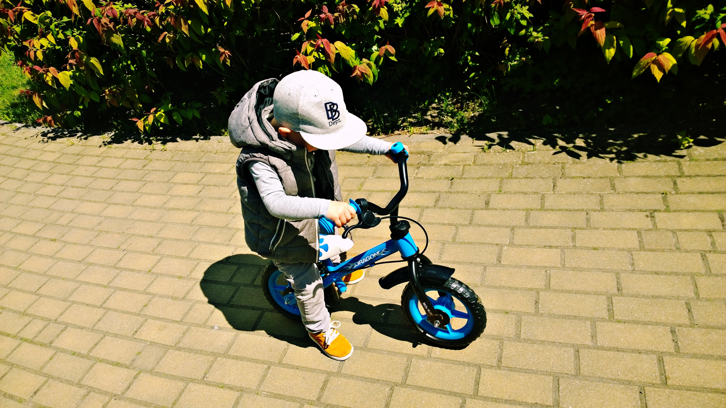 WP_20150529_12_01_29_Pro