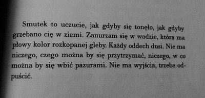 11693840_1457106594584860_8113398615493535685_n