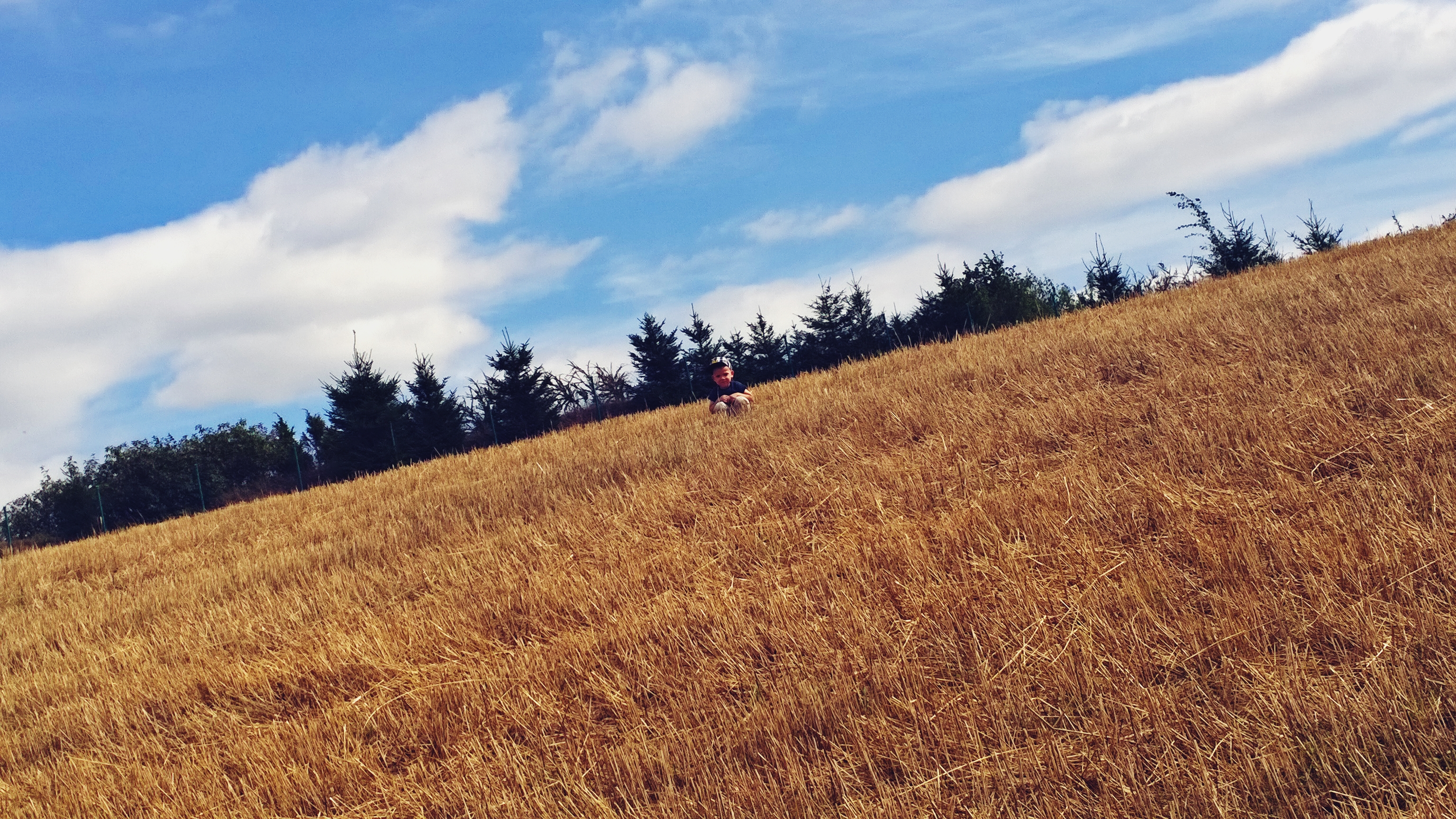 WP_20150826_13_41_55_Pro